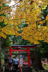 中野神社の紅葉　その４