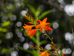 久しぶりの陽の光