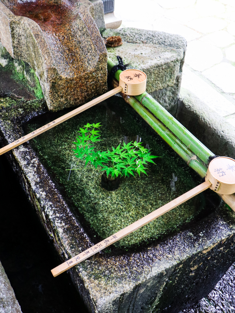 葵祭りを前に　その３