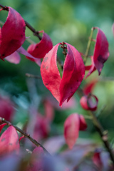 早くも　その２