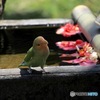 お清め済んだけど