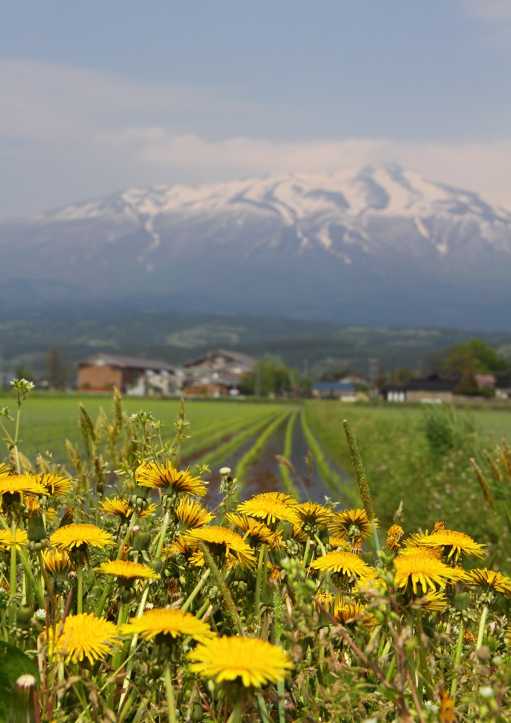 鳥海山麓その４