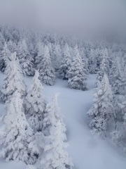 モンスター再生中