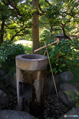 水鉢　その２