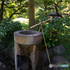 水鉢　その２