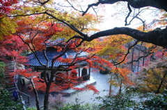 京都西山善峯寺　その３