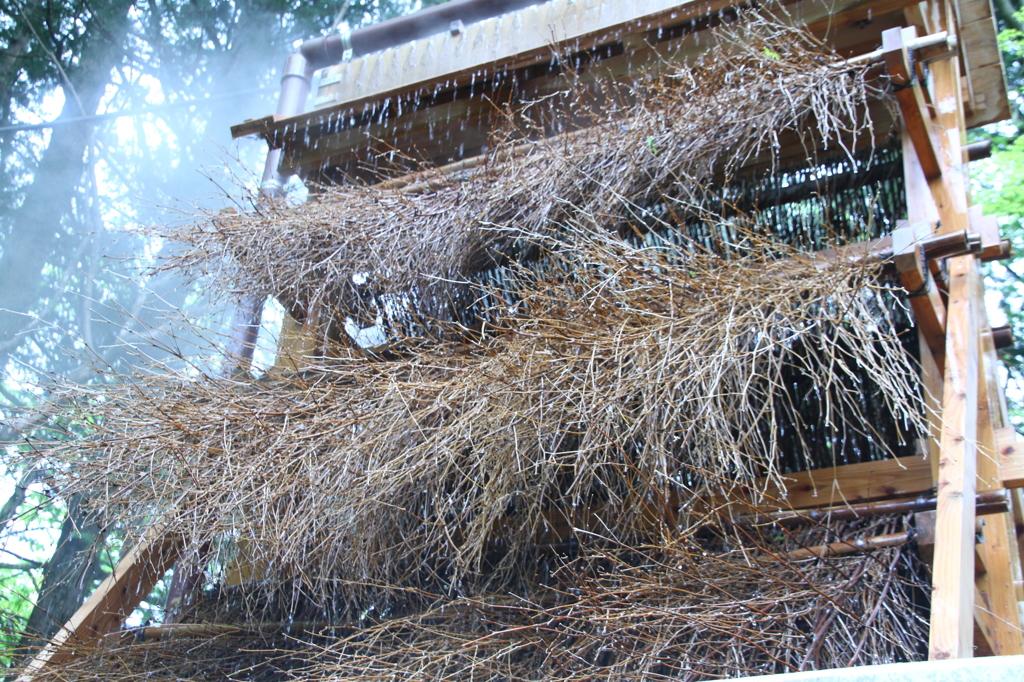 岡田美術館 湯雨竹 By Mako T Id 写真共有サイト Photohito