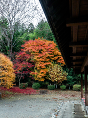 日光杉並木公園　その２