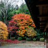 日光杉並木公園　その２