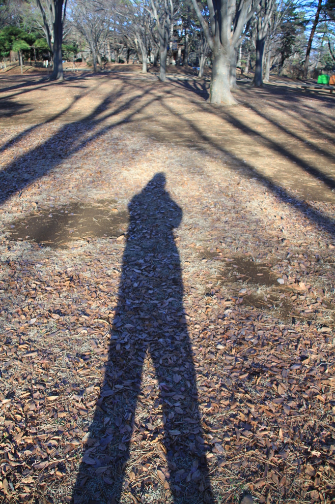 冬至を過ぎても