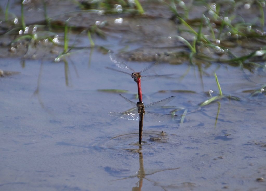 初の挑戦　その２