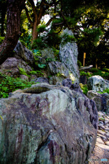水鉢　その１