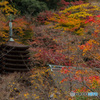 談山神社　十三重塔