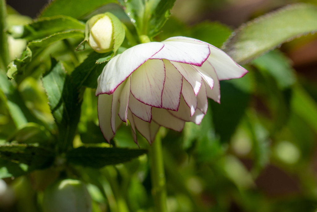 ダブル　その１