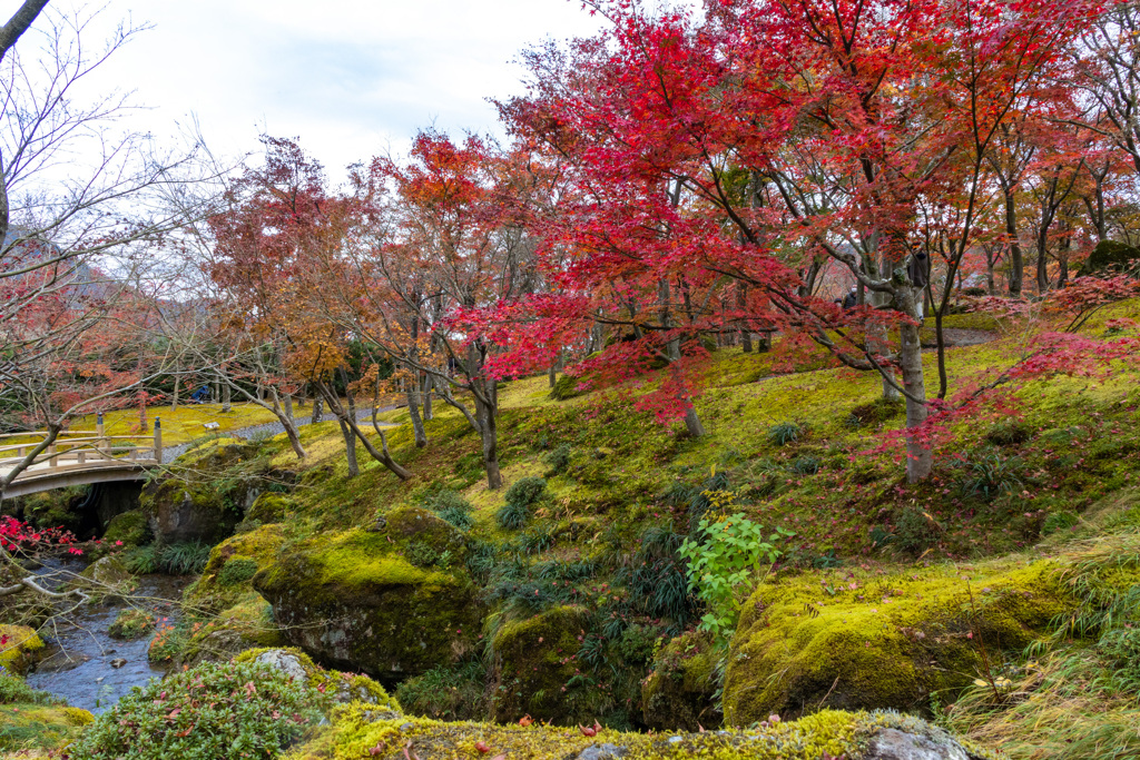 晩秋の箱根　その４