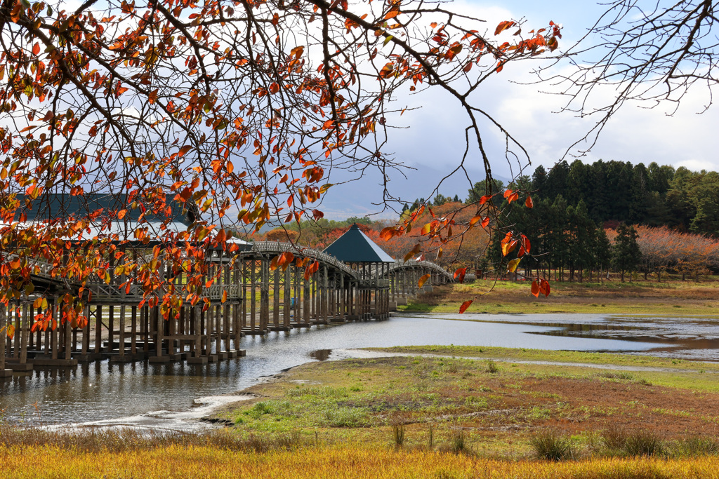 木造三連太鼓橋　その２