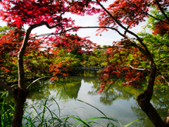 京都旅行拾遺集　その３