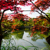 京都旅行拾遺集　その３