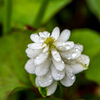 雨上がりの朝　その１