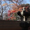 秋の名残り　上野東照宮　その２