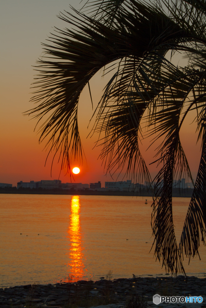 臨海夕景　その１