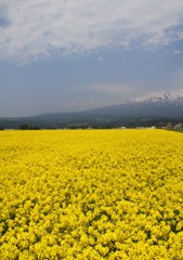 鳥海山麓その３