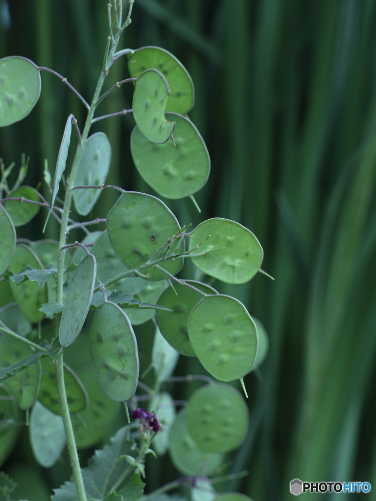 ♪ザックザックザックザク　その２