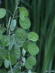 ♪ザックザックザックザク　その２