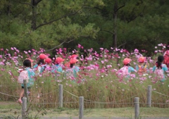 花を添える