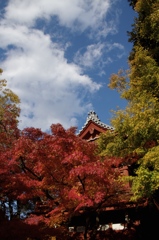 山門を飾る