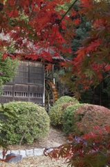水車小屋の秋　その１