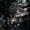 木漏れ日