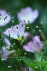 花に小判