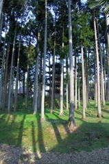 妙宣寺　その２