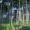 妙宣寺　その２