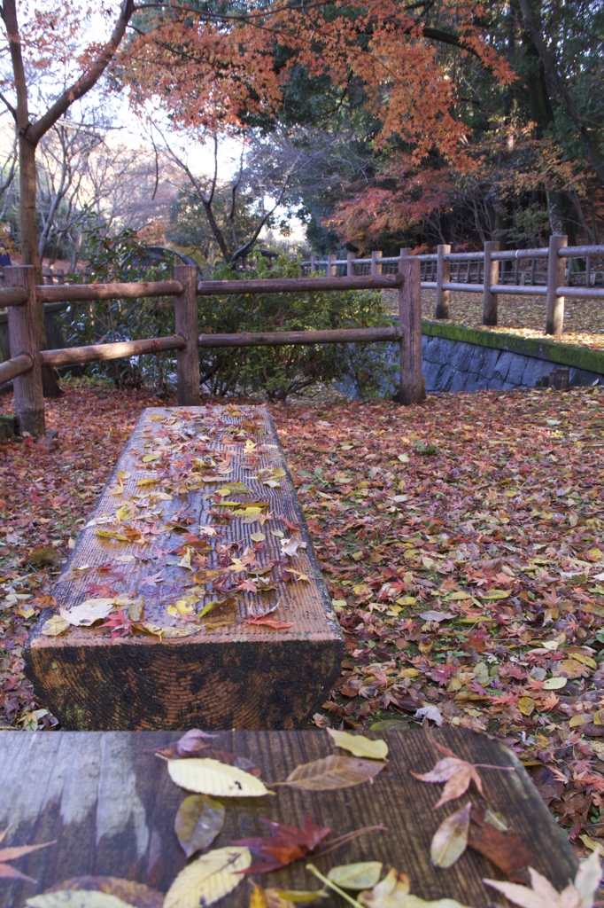 嵐去って　その３　