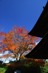 京都西山善峯寺　その７