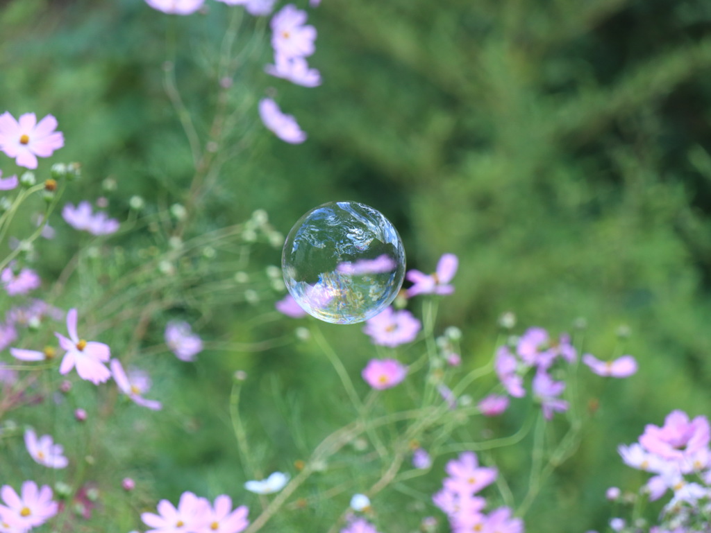 孫と遊ぶ　その２