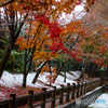 １１月の初雪　その３