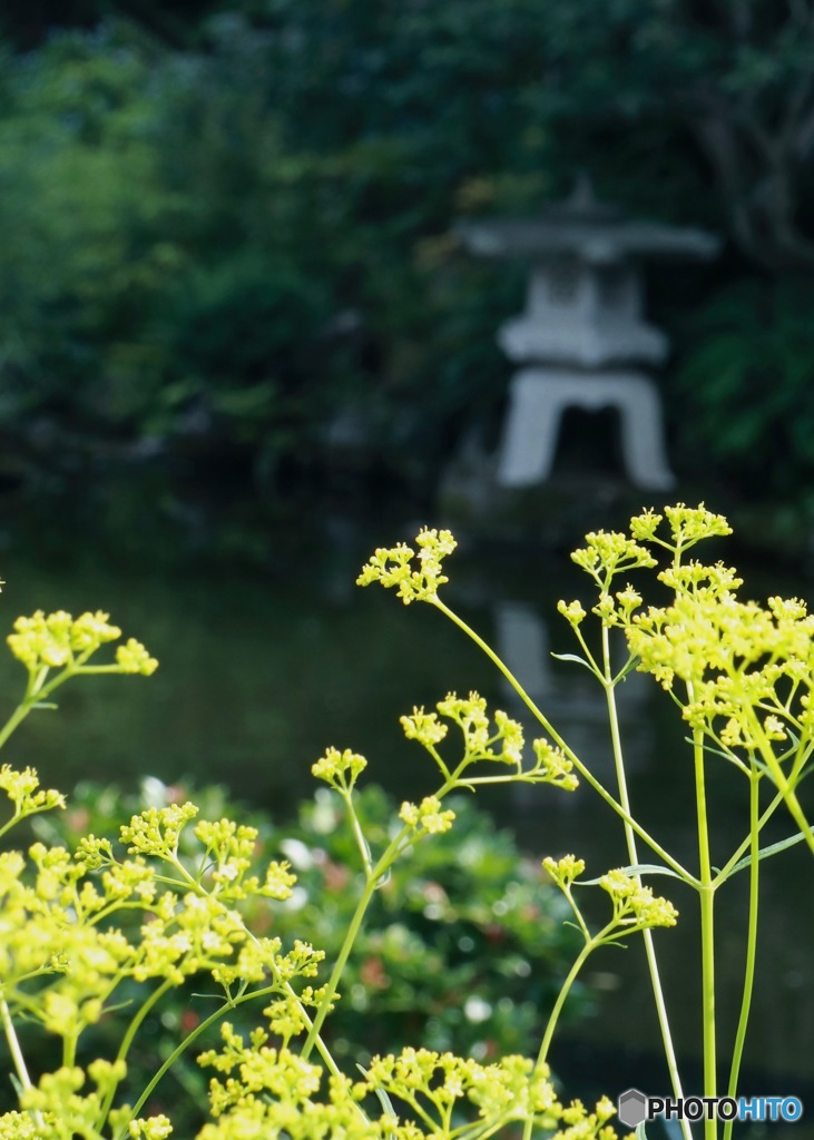 まだ夏ですが