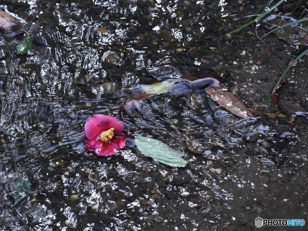 季節は移り　その１