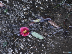 季節は移り　その１