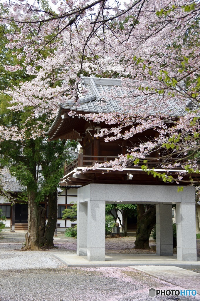 山門を飾る