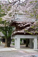 山門を飾る