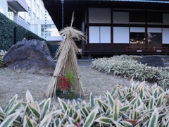 旧岩崎邸和館　その２