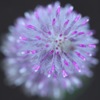 花火のように