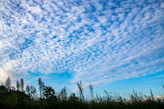 ひつじ雲　その１