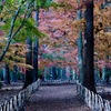 閑散と