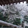 本堂から