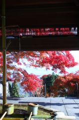 京都西山善峯寺　その５